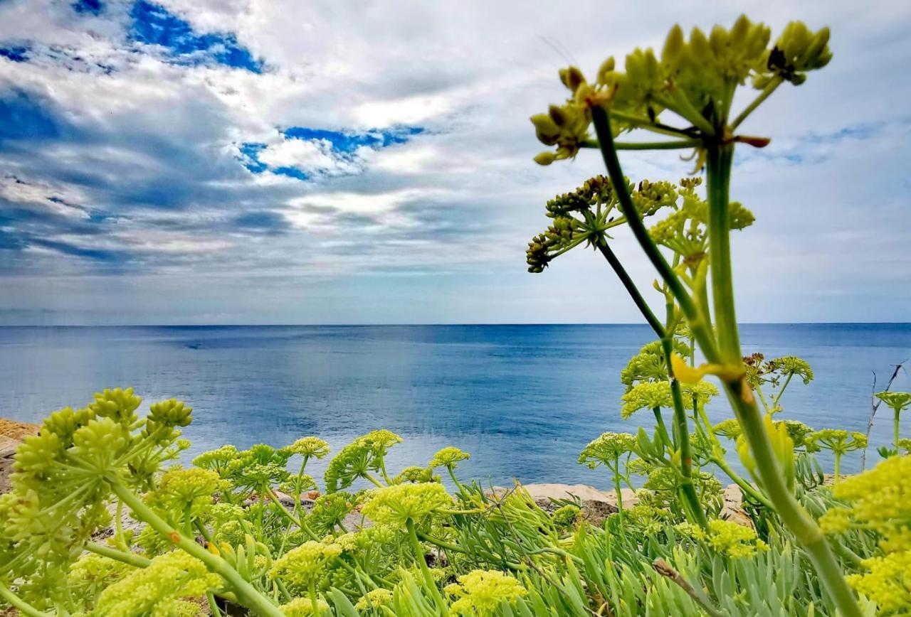 فيلا Casa Fronte Mare مارينا دي مانكافيسا المظهر الخارجي الصورة